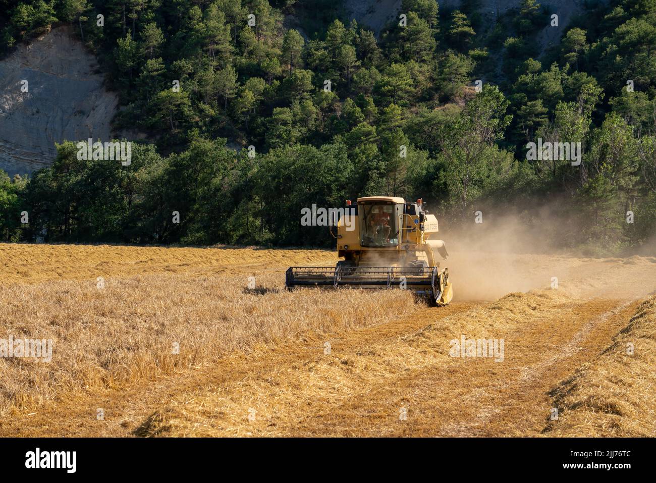 New Holland TC5060 Kombinieren Sie Harvester in Aktion, Sonnenschein und Staub Stockfoto