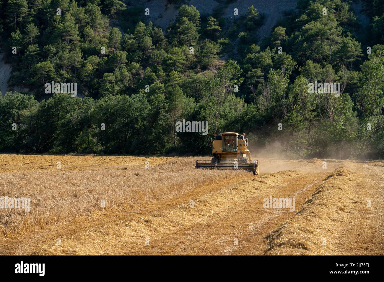 New Holland TC5060 Kombinieren Sie Harvester in Aktion, Sonnenschein und Staub Stockfoto