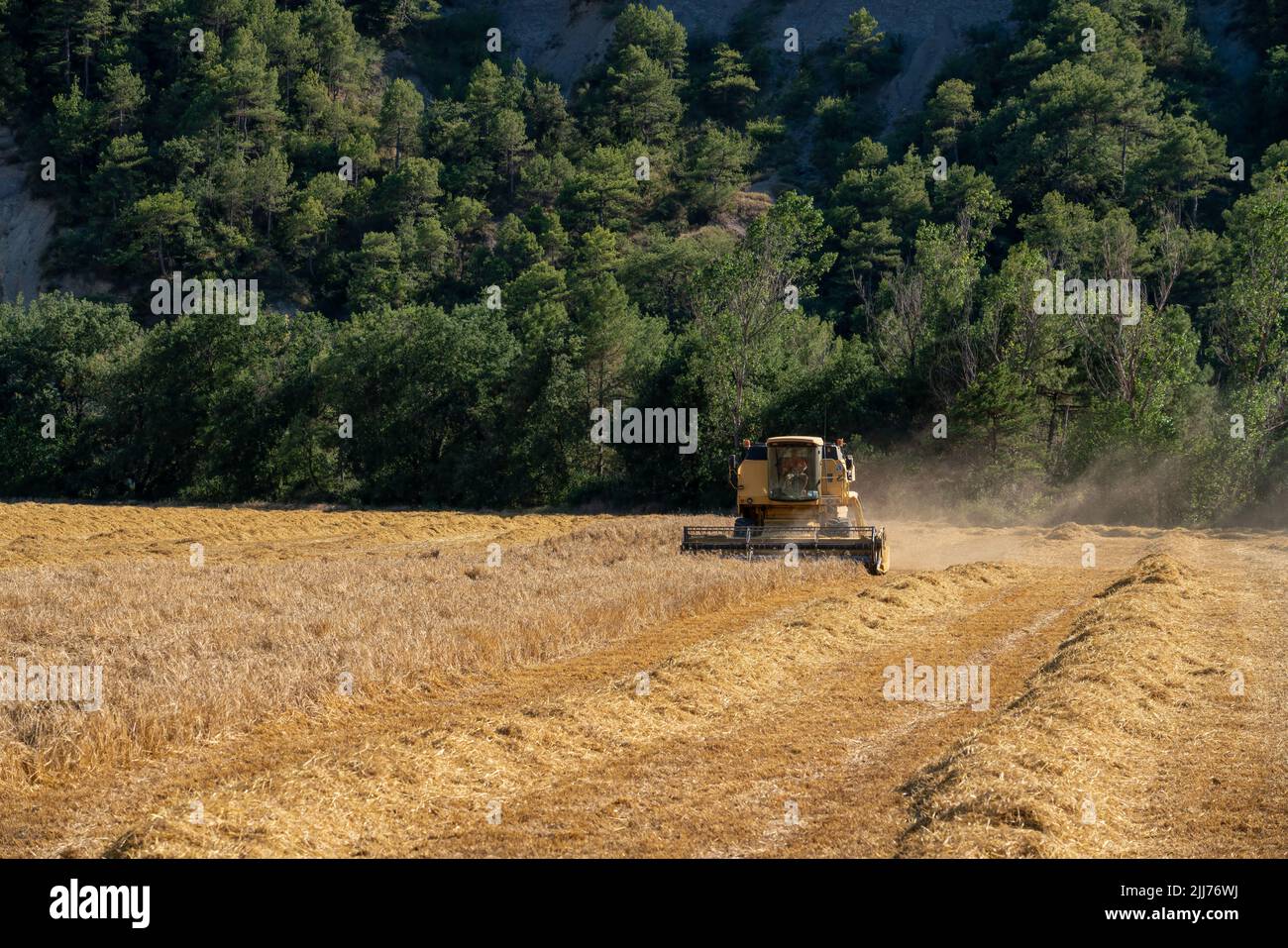 New Holland TC5060 Kombinieren Sie Harvester in Aktion, Sonnenschein und Staub Stockfoto