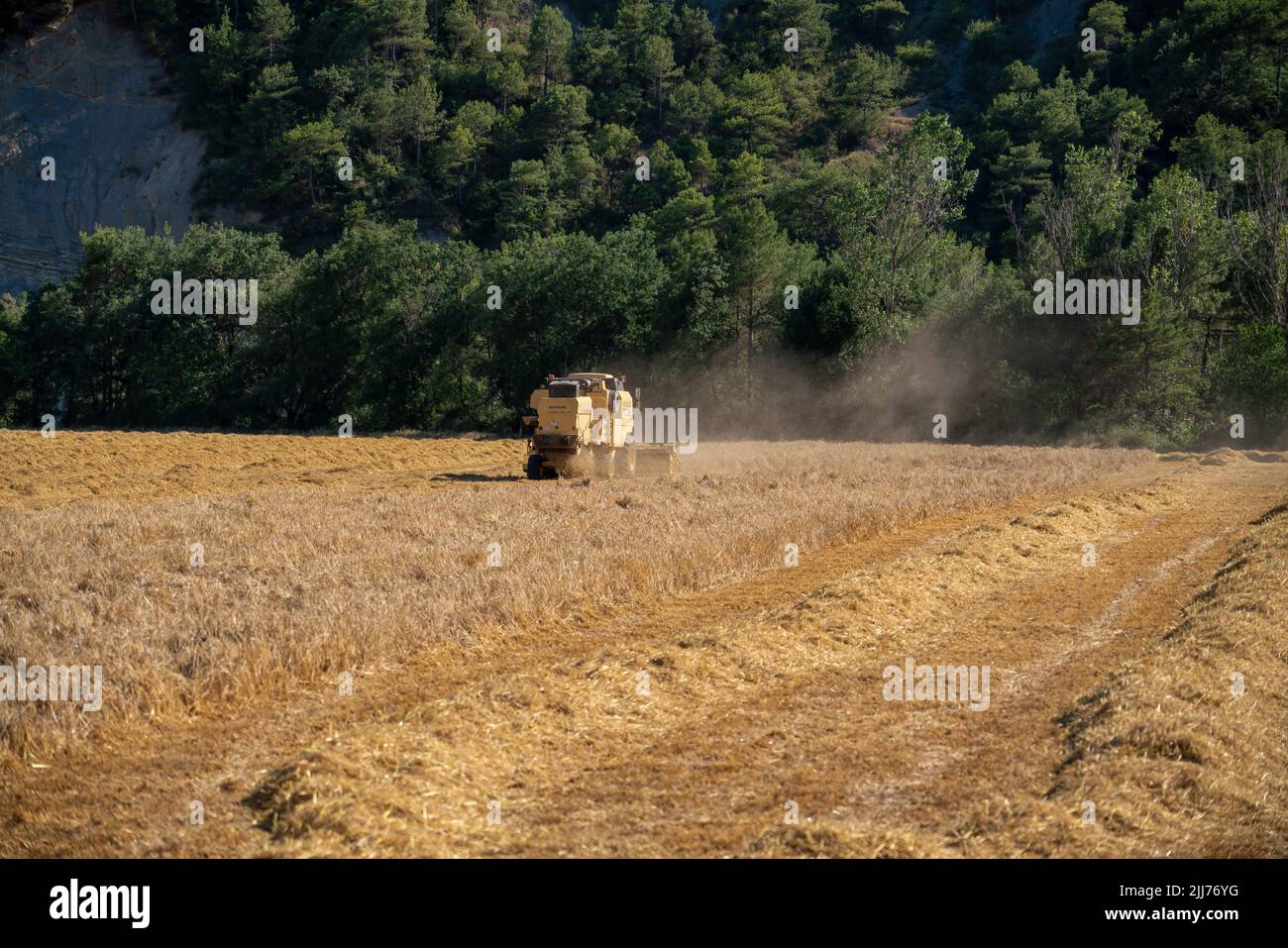 New Holland TC5060 Kombinieren Sie Harvester in Aktion, Sonnenschein und Staub Stockfoto