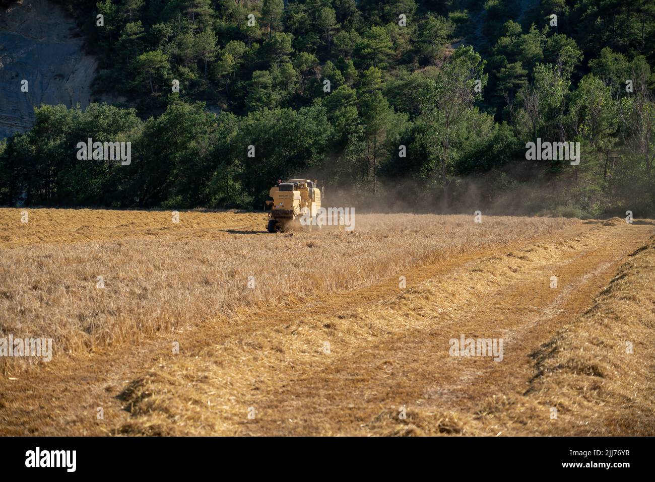 New Holland TC5060 Kombinieren Sie Harvester in Aktion, Sonnenschein und Staub Stockfoto