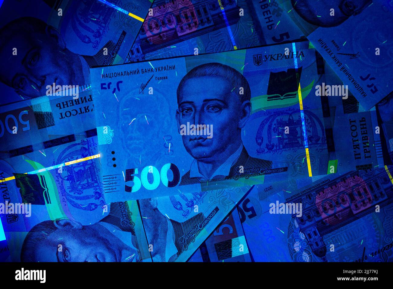 Ukrainische Währung Griwna in ultravioletten Strahlen. Der Strahl der UV-Taschenlampe auf den Banknoten von fünfhundert UA hryvnias. Wasserzeichen und stark Stockfoto