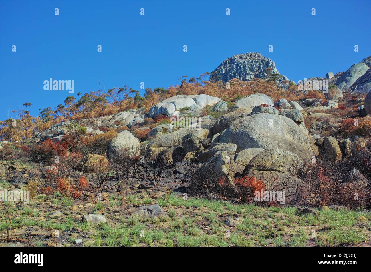 Großer Berg und große Felsen in schönen grünen und braunen wilden Gras und Bäumen mit blauem Himmel im Hintergrund. Die Landschaft des Berges und der Felsbrocken Stockfoto