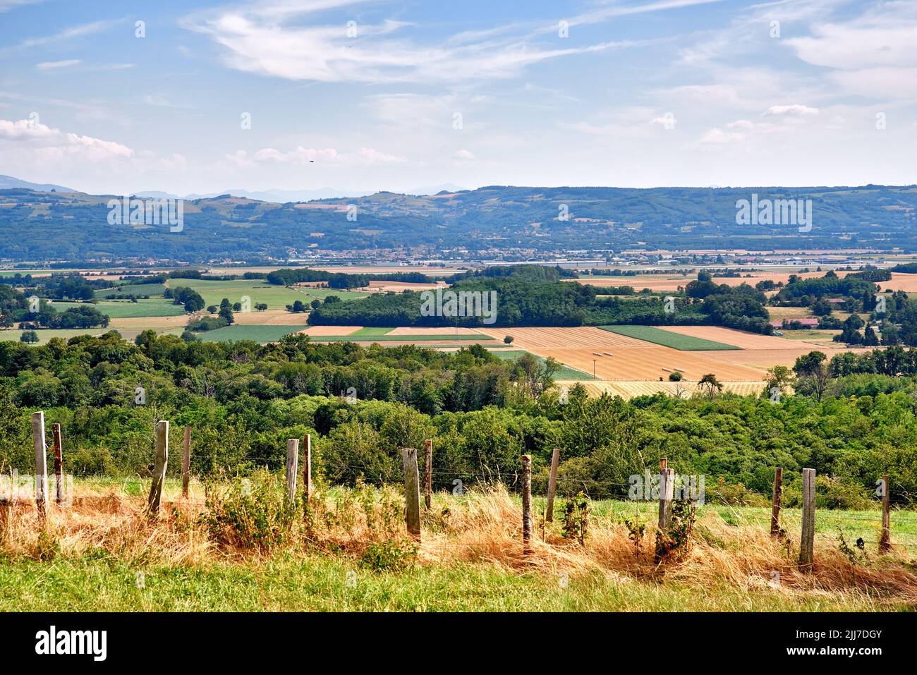 Die Landschaft Blick auf große Farm Land mit üppigen grünen Pflanzen. Landschaftlich reizvoller Blick auf nachhaltige Landwirtschaft und Natur mit einem trüben blauen Himmel Stockfoto