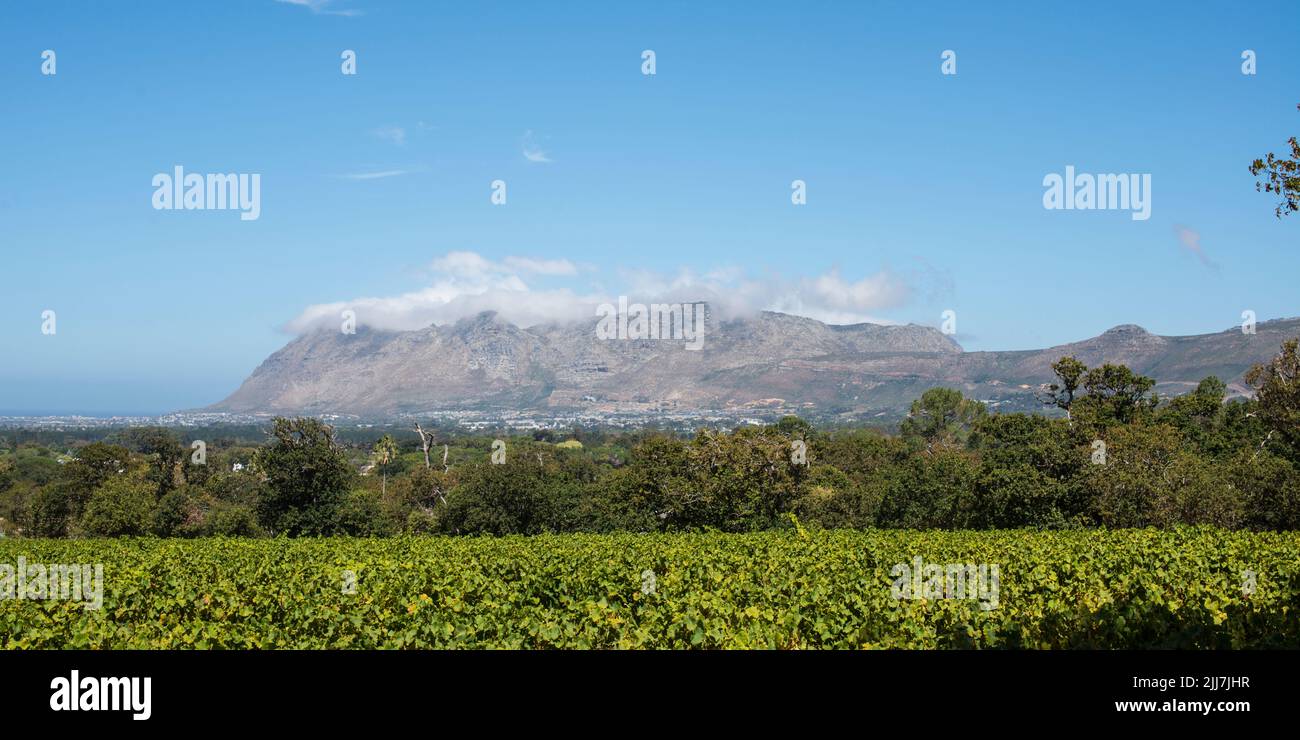 Tafelberg unter seiner linsenförmigen Wolke Stockfoto