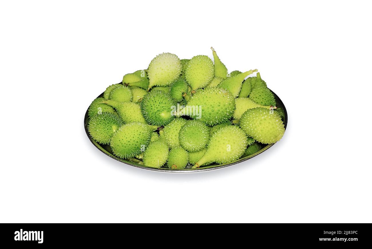 Stachelige Kürbisse in weißem Hintergrund Foto-Shooting. Stachelige Kürbisse gesund für die Gesundheit natürliche vegetable in Indien. Stockfoto