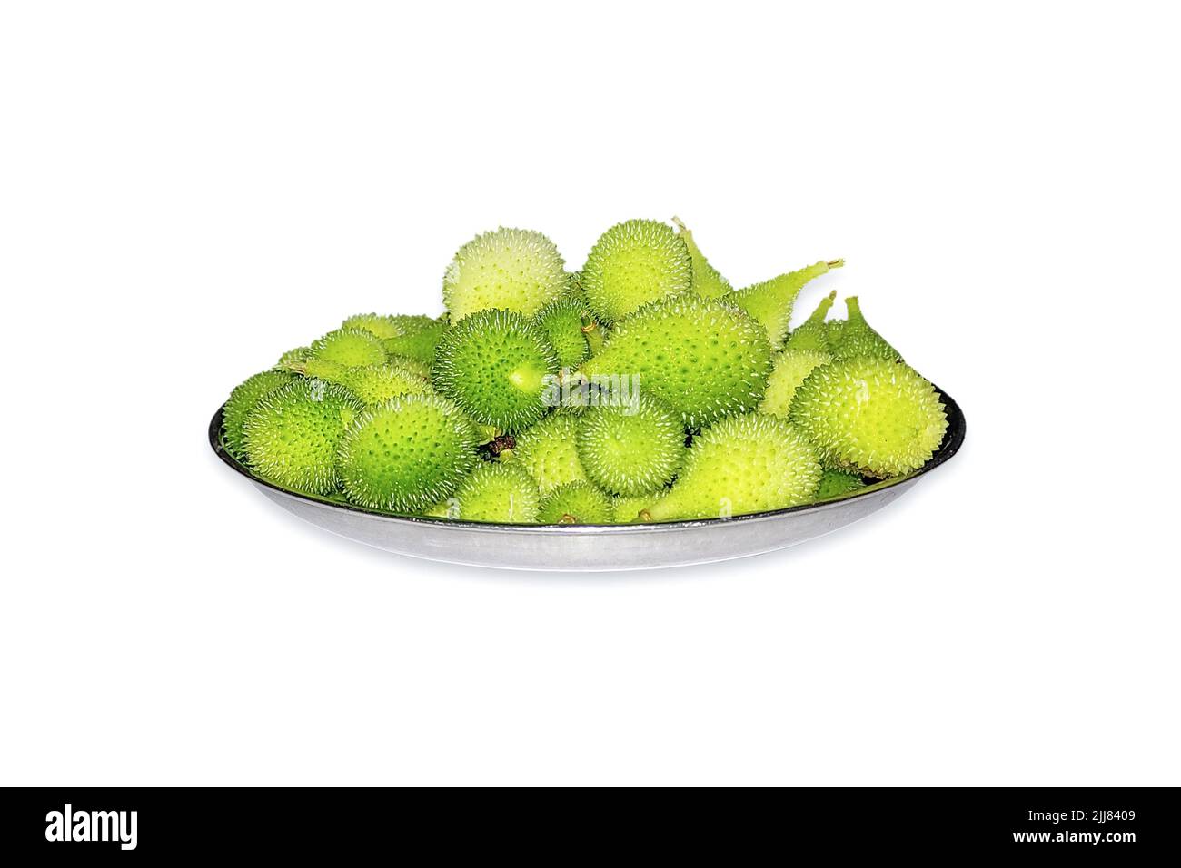 Indische Spitzkürbis isoliert auf weißem Hintergrund in Stahlschale. Stachelkürbis gesund für die menschliche Gesundheit. Stockfoto