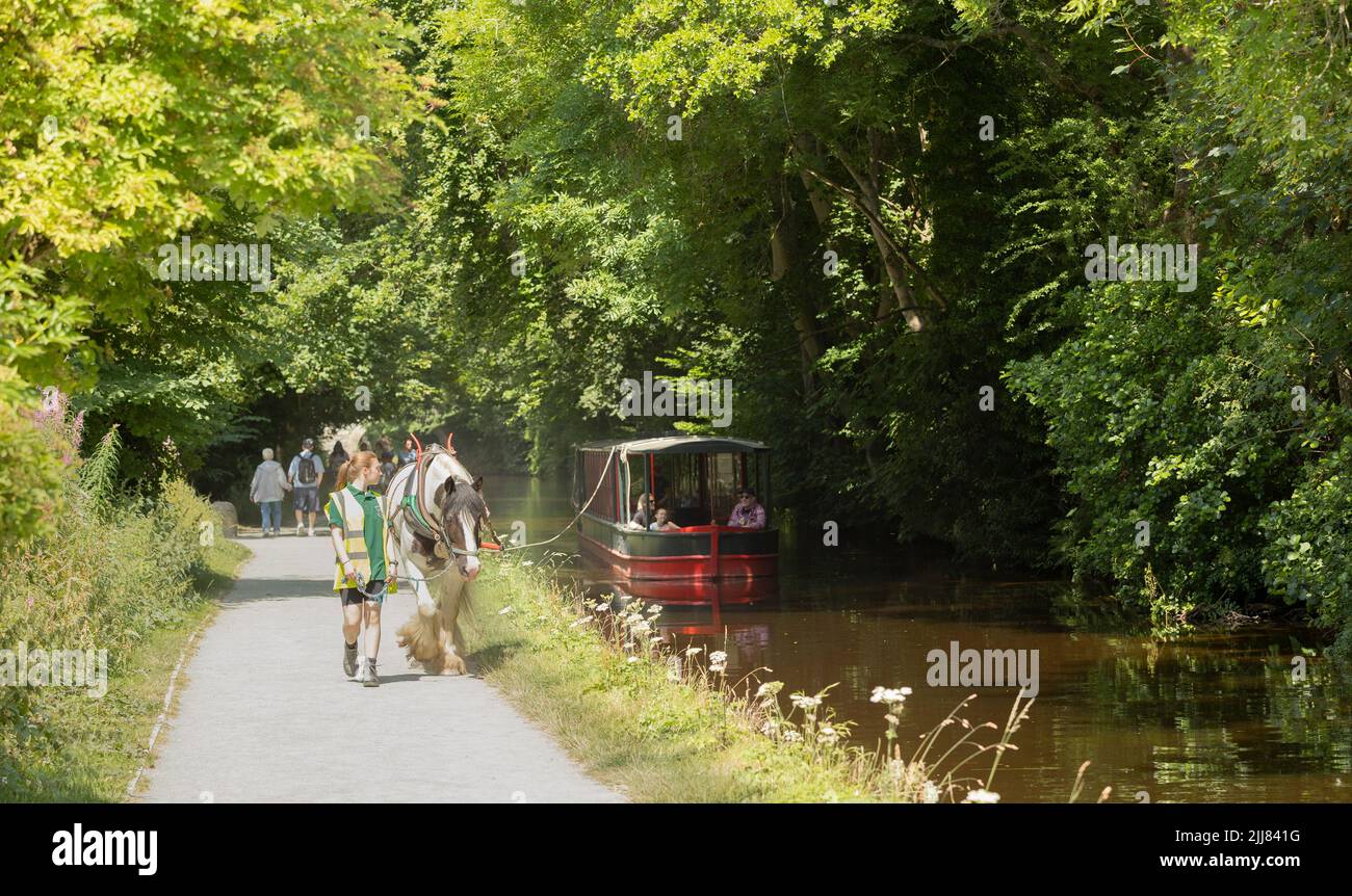 Llangollen Wales vereinigtes Königreich Juli 16 2022 Pferdeschrottboot mit Touristen, die eine Vergnügungsreise entlang des 200 Jahre alten Llangollen Kanals in N Unternehmen Stockfoto