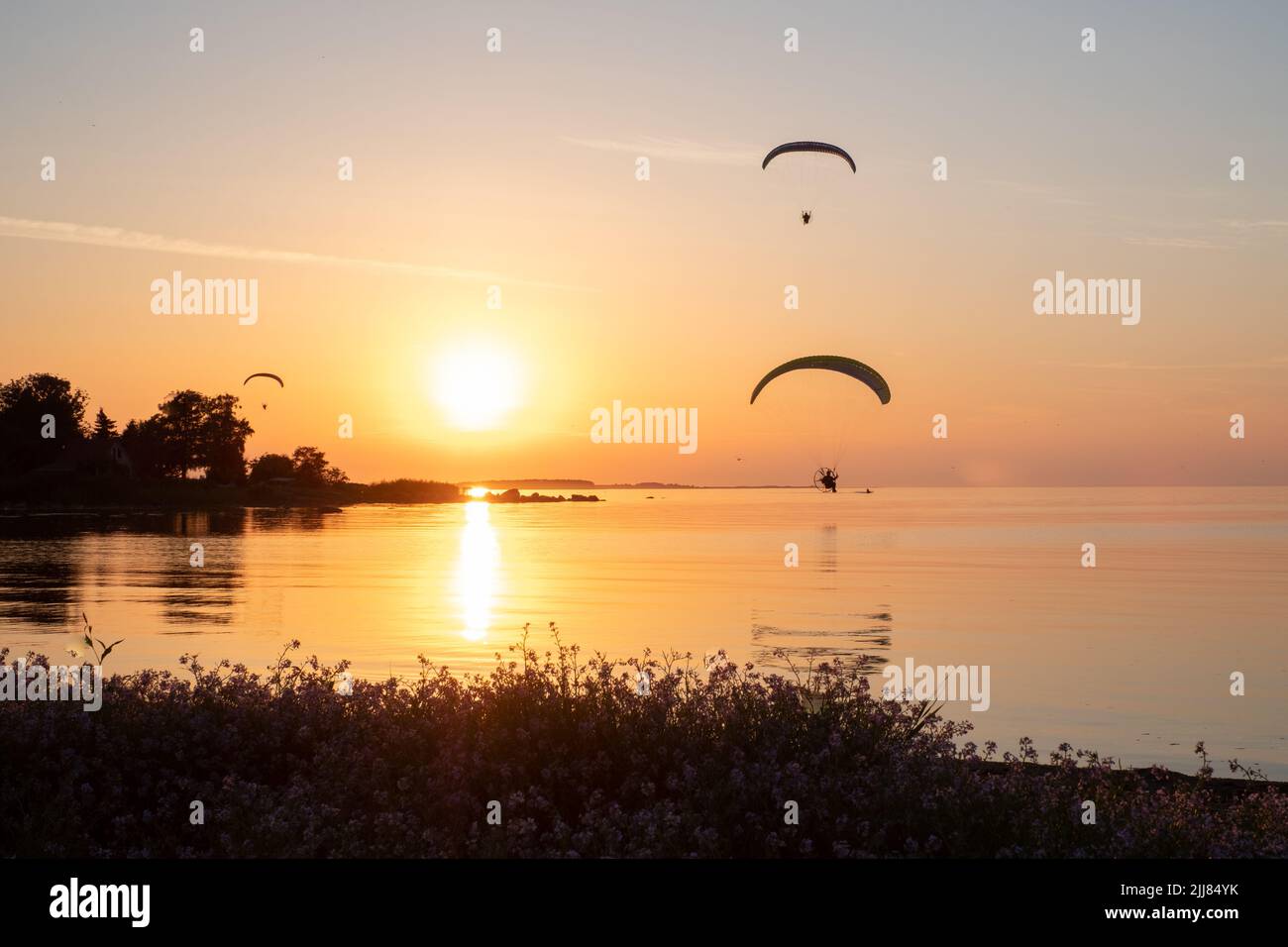 Drei Gleitschirmflieger fliegen während des Sonnenuntergangs am wunderschönen Strand in den Himmel. Silhouetten von Paraplanes. Abenteuerurlaub und Reisekonzept. Stockfoto Drei Gleitschirmflieger fliegen während des Sonnenuntergangs am wunderschönen Strand in den Himmel. Silhouetten von Paraplanes. Abenteuerurlaub und Reisekonzept. Stockfoto