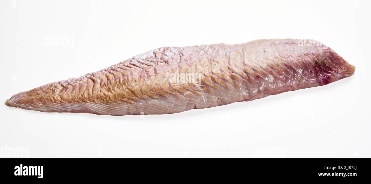 Hoher Winkel des ganzen rohen frischen Fischfilets auf weißem Hintergrund im Studio platziert Stockfoto