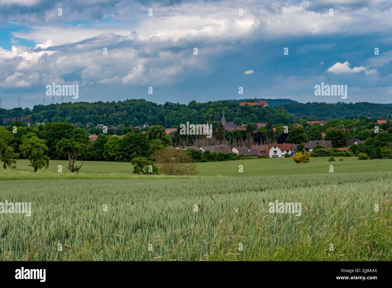 Herzberg am Harz liegt in einer wunderschönen Landschaft. Im Wald schaut nur das Dach vom Welfenschloss aus Stockfoto