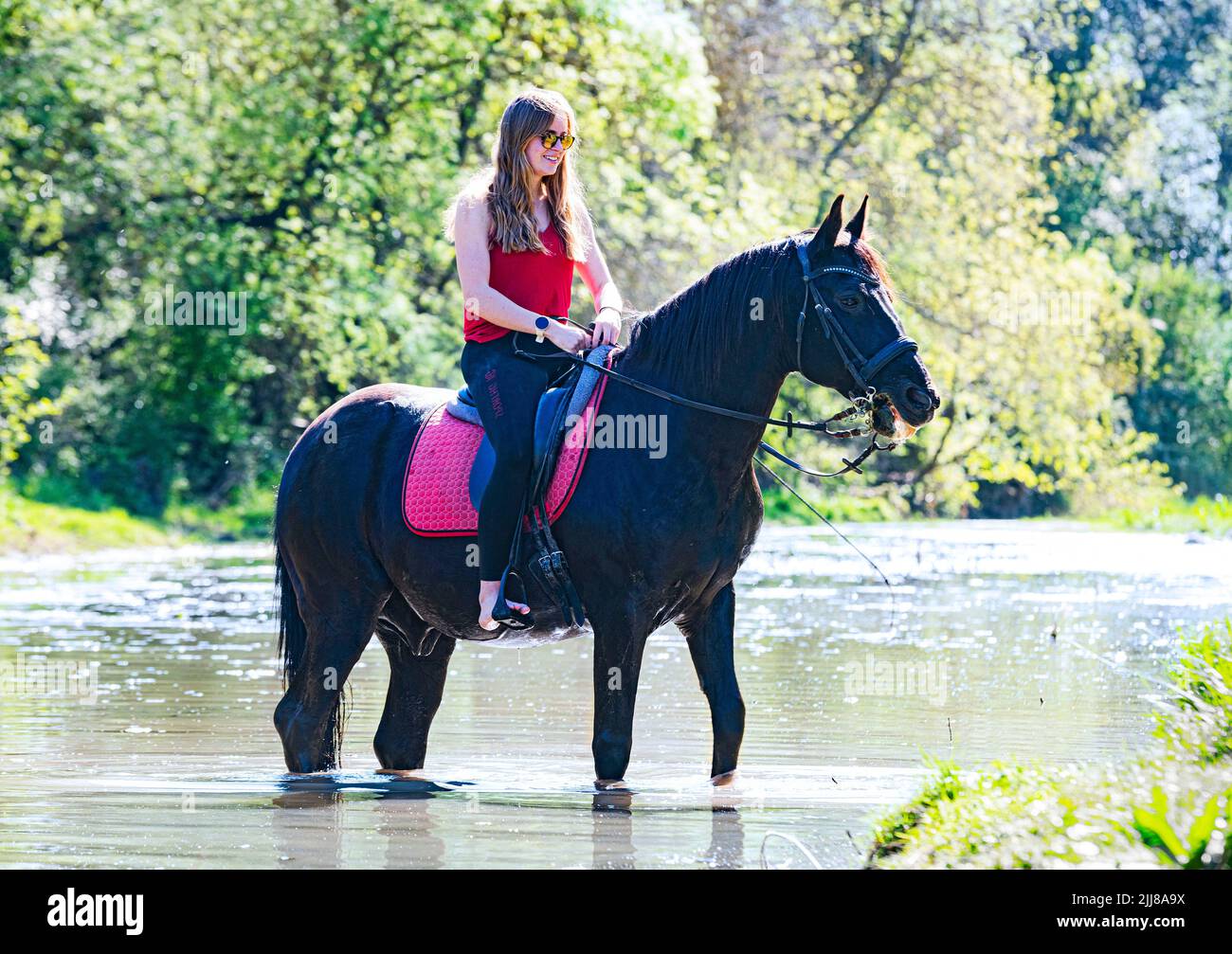 Reitende Mädchen trainieren ihr schwarzes Pferd in einem Fluss Stockfoto