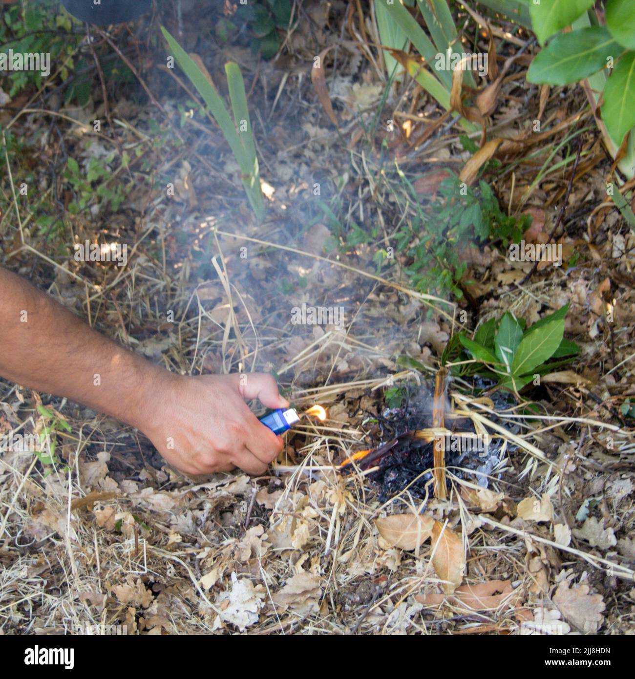 Bild der Hand eines Brandstifters, der mit einem Feuerzeug in einem Holz ein Feuer ausbricht. Hinweis auf das Problem der Waldbrände. Stockfoto