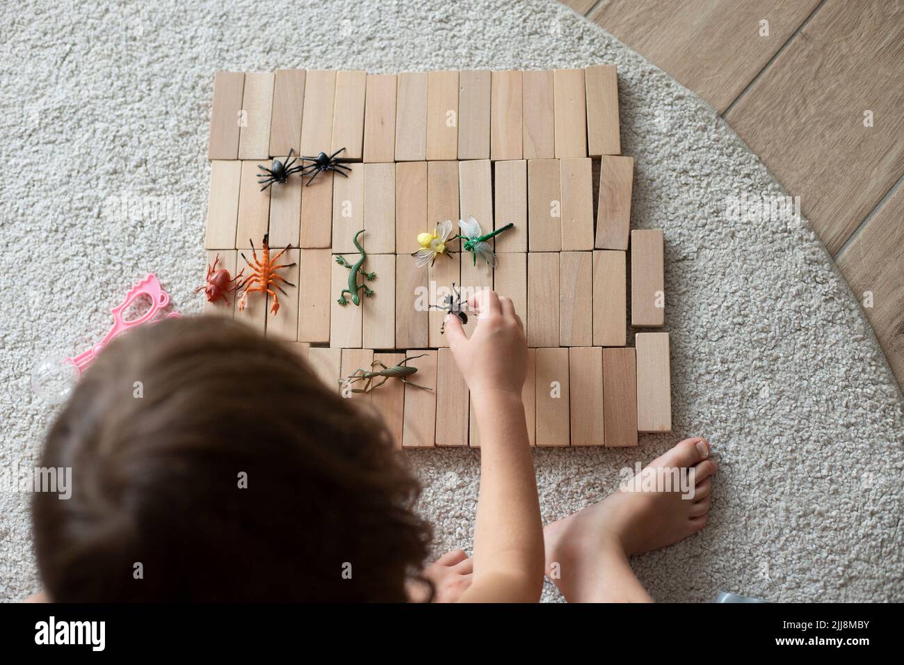 Kaukasisches Mädchen, 5 Jahre alt, spielt mit Holzblöcken und Spielzeugtieren auf dem Boden und sitzt auf beigefarbenem Teppich. Draufsicht, selektiver Fokus. Stockfoto