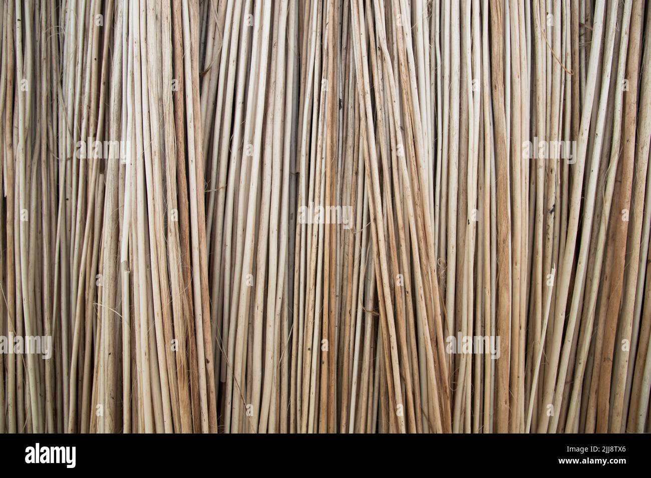 Reihen und Reihen von braunen Jute Sticks Texturhintergrund eines Feldes Stockfoto