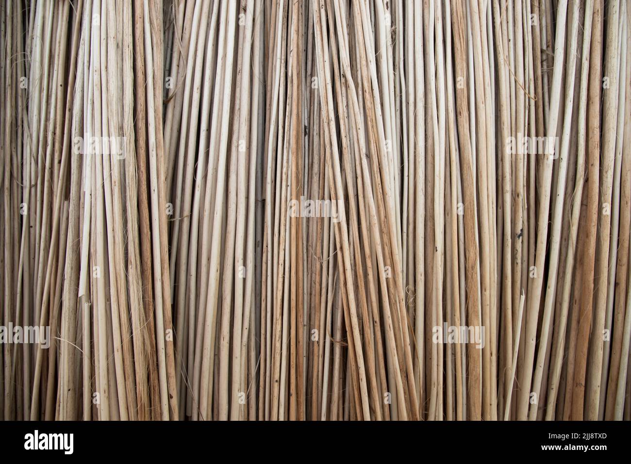 Reihen und Reihen von braunen Jute Sticks Texturhintergrund eines Feldes Stockfoto