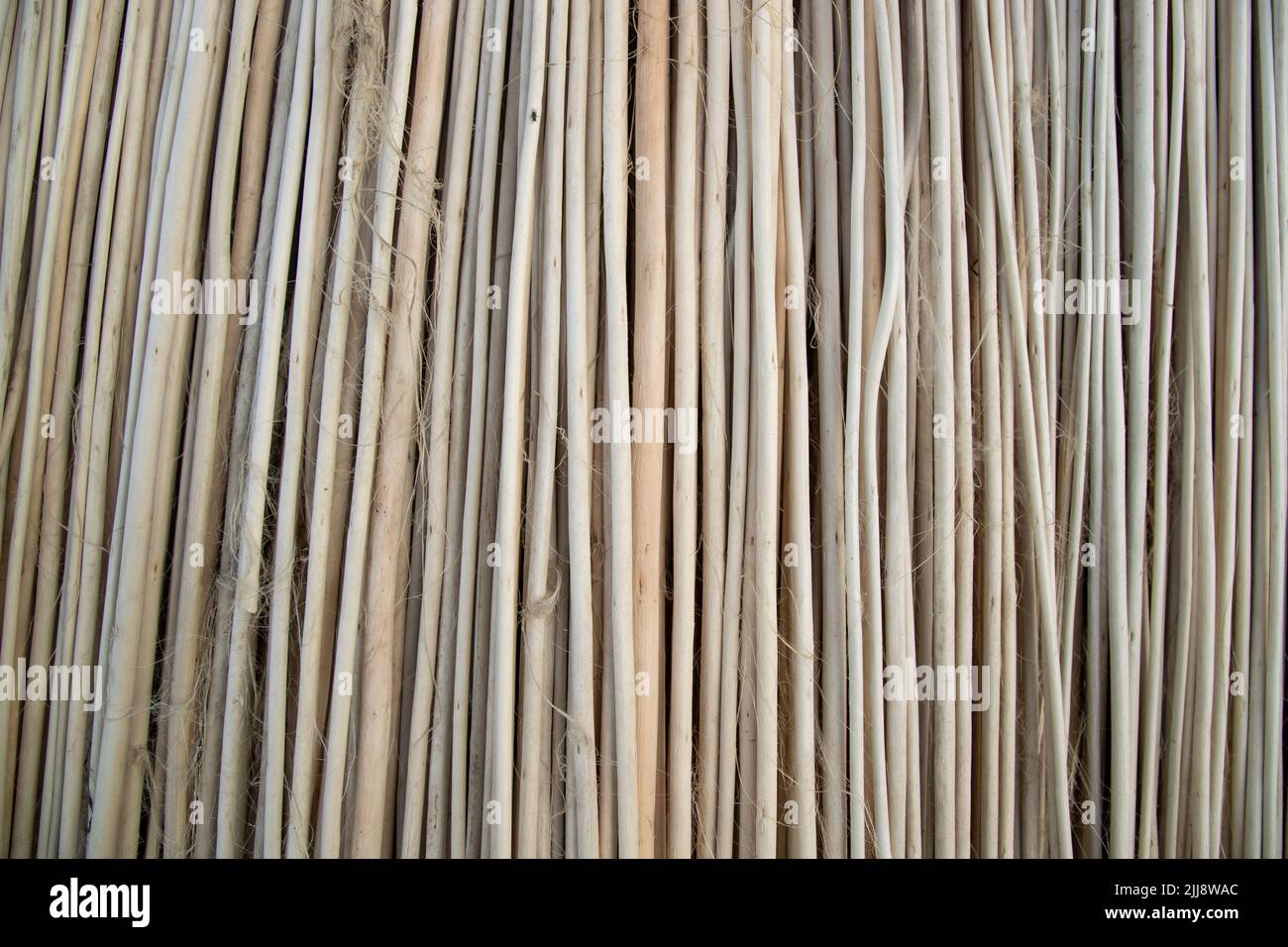 Reihen und Reihen von braunen Jute Sticks Texturhintergrund eines Feldes Stockfoto