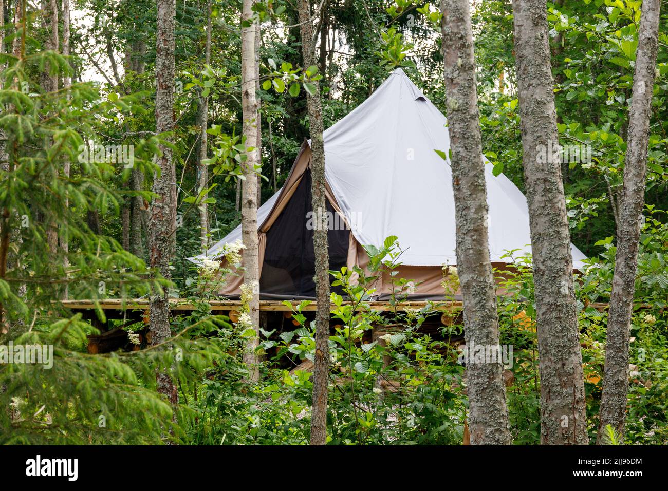 Foto von Glamping im Wald im Sommer Stockfoto