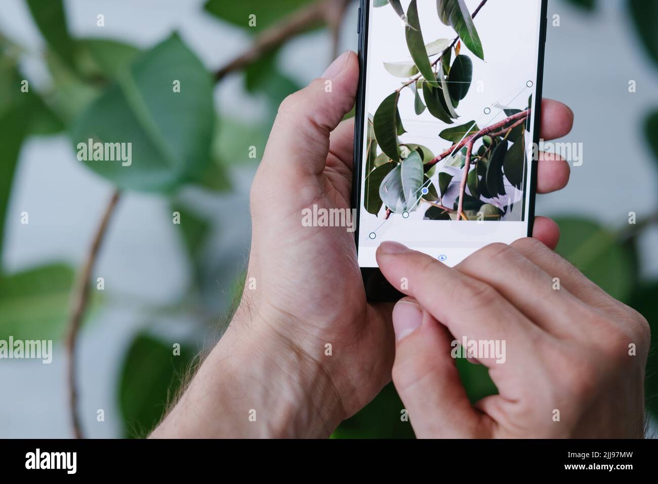 Mobile Fotografie Kunst Technologie Innovation Telefon Stockfoto