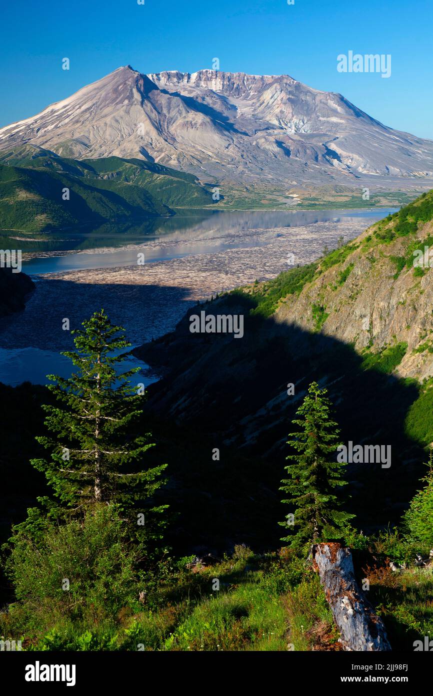 Mt St. Helens vom Norway Pass, Mt St. Helens National Volcanic Monument, Washington Stockfoto