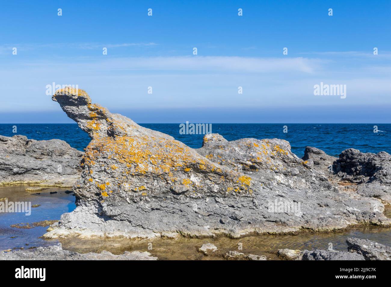 Kalksteinsäulen auf Gotland in Schweden. Stockfoto