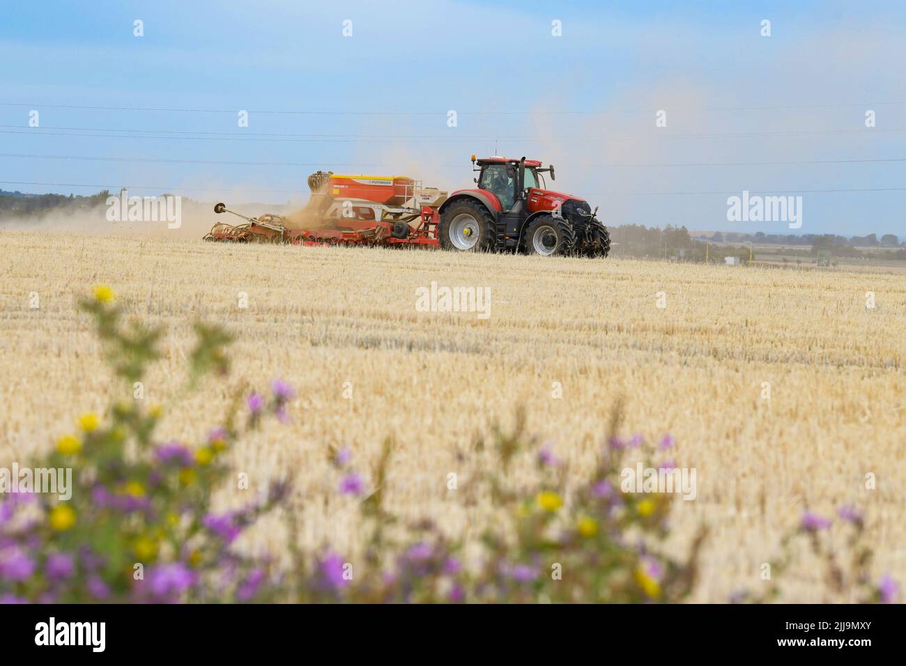 Roter Traktor und Saatbohrung Aussaat von Saatgut im Stoppelfeld, Kent England, Großbritannien Stockfoto