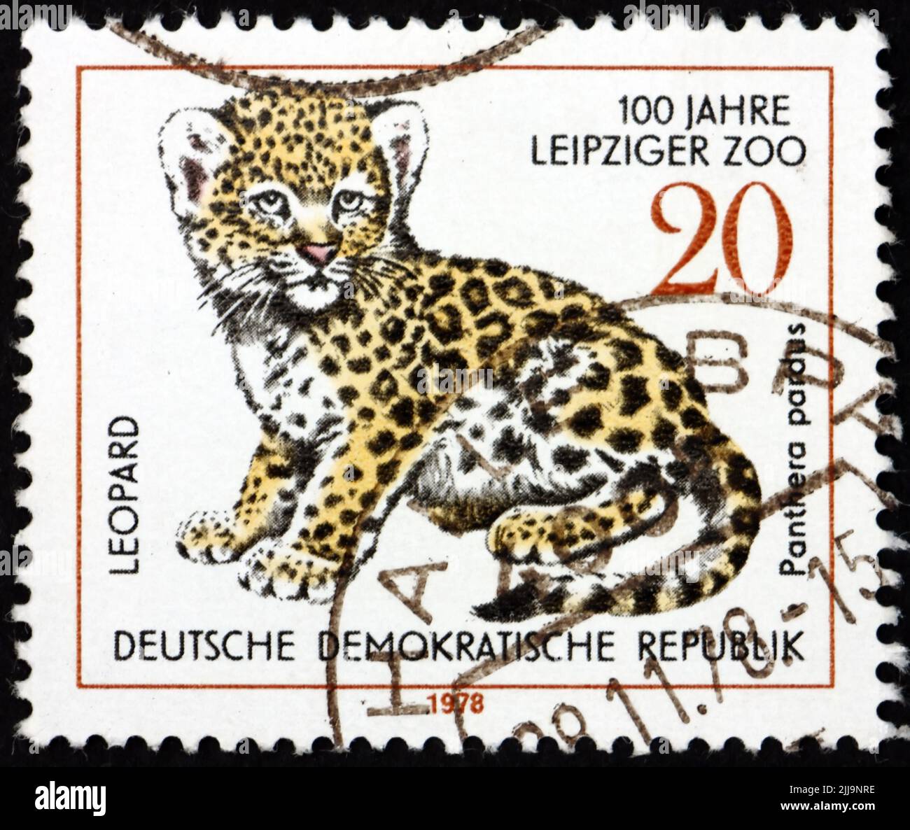 DEUTSCHLAND - UM 1978: Eine in Deutschland gedruckte Marke zeigt Leopardenjunges, Jungtier, 100 Jahre Zoo Leipzig, um 1978 Stockfoto