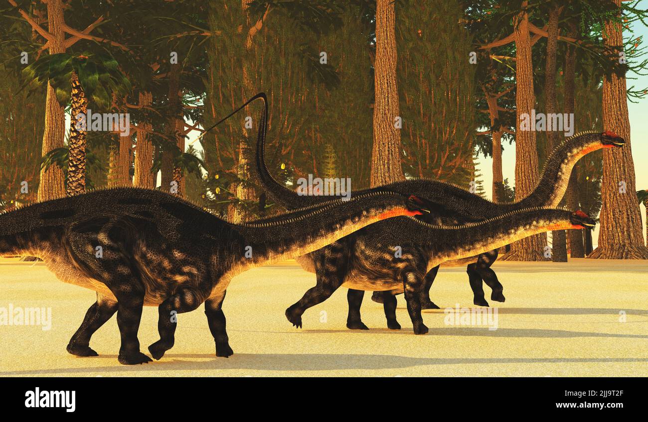 Apatosaurus Prehistoric Forest - Ein prähistorischer Wald während des Jurassic Age of North America Zwerge riesigen Apatosaurus Sauropoden Dinosaurier. Stockfoto