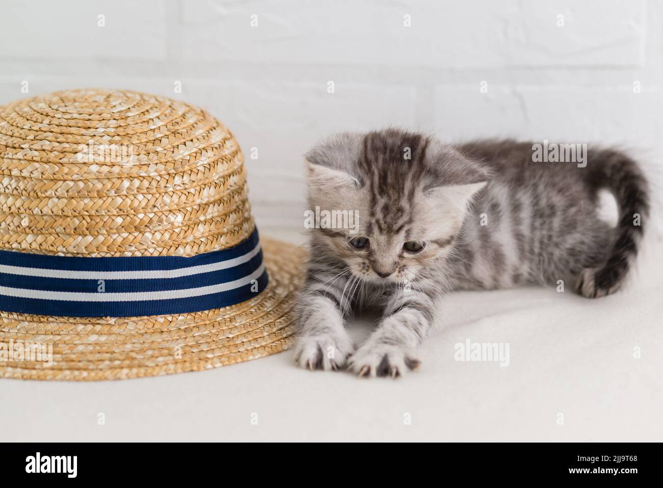 Ein schönes kleines gestreiftes Kätzchen spielt neben einem Strohhut. Selektiver Fokus Stockfoto