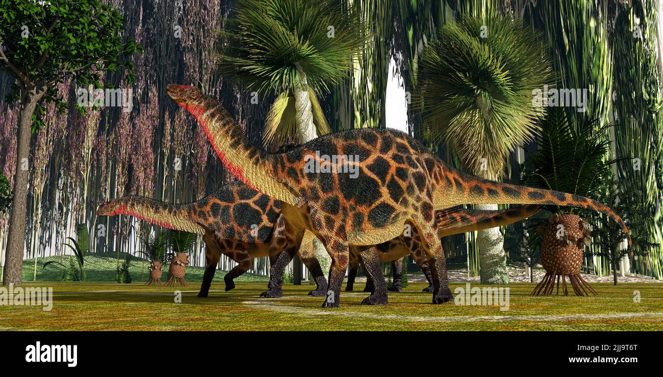 Jurassische Vegetation ragt über zwei Dinosaurier des Dicraeosaurus sauropod, während sie nach Pflanzen suchen, die sie fressen können. Stockfoto