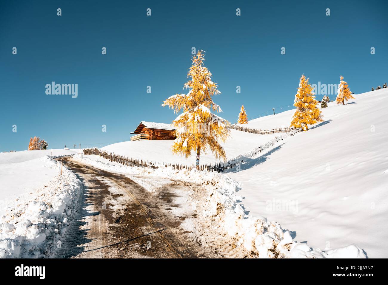Malerische Landschaft mit kleiner Holzhütte auf der Seiser Alm bei Sonnenaufgang. Seiser Alm, Dolomiten, Italien. Schneebedeckter Hügel mit Straße und orangefarbenen Lärchen Stockfoto