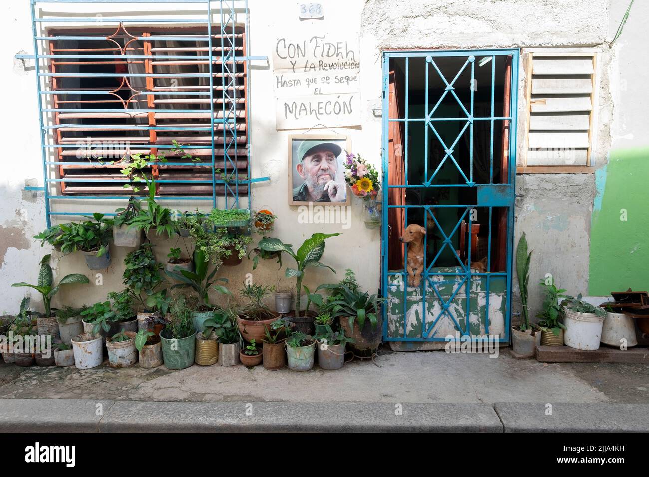 Fassade eines Hauses in Havanna Kuba. Blau gegrillte Eingangstür mit einem Hund dahinter. Stockfoto