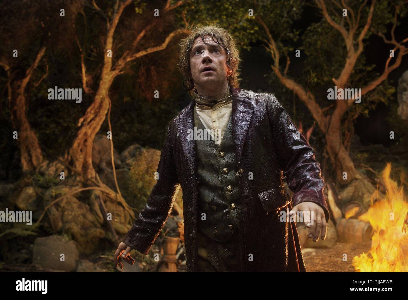 MARTIN FREEMAN, The Hobbit: The Desolation von Smaug, 2013 Stockfoto