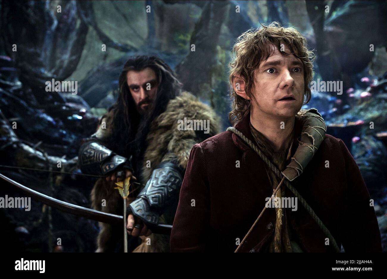 RICHARD ARMITAGE, Martin Freeman, The Hobbit: The Desolation von Smaug, 2013 Stockfoto