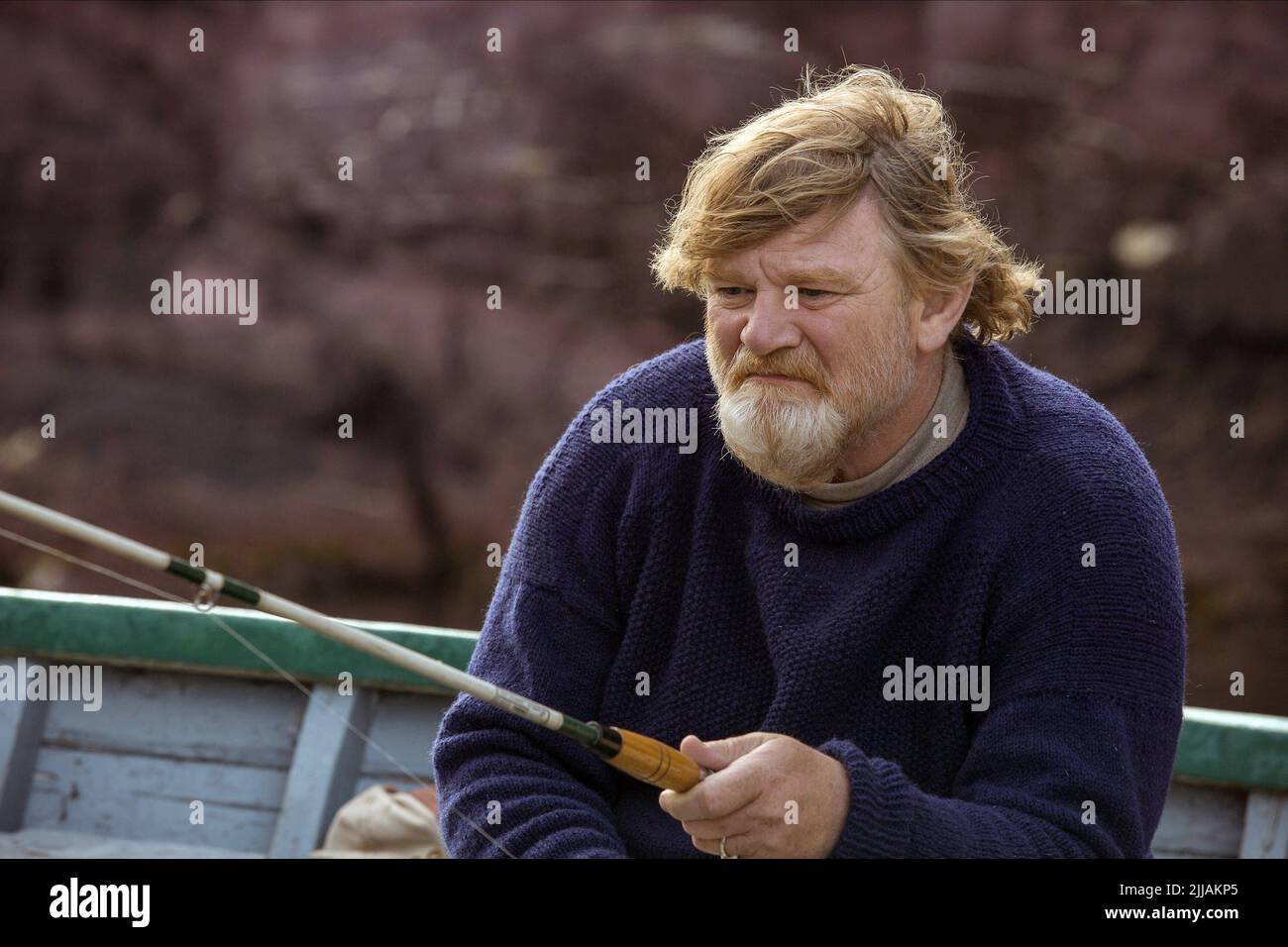 BRENDAN GLEESON, DIE GROSSE VERFÜHRUNG, 2013 Stockfoto