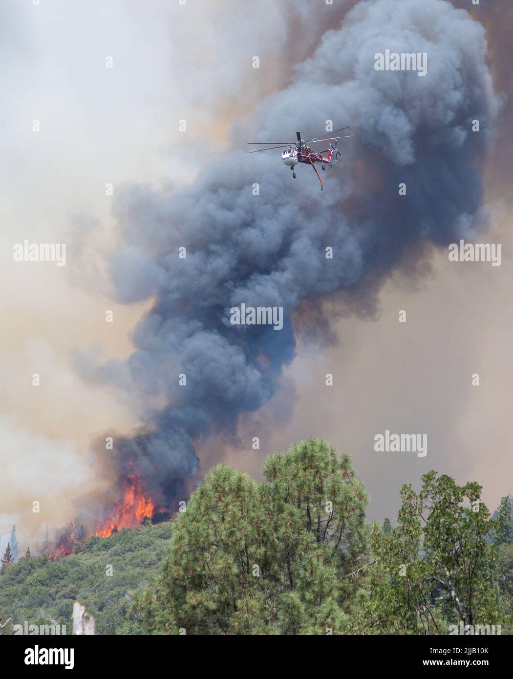 Mariposa County, Kalifornien, 24. Juli 2022. Ein Feuerwehrhubschrauber fliegt am 24. Juli 2022 in Mariposa County, Kalifornien, an Rauch und Flammen heran, um das Eichenfeuer zu verlangsamen. Stockfoto