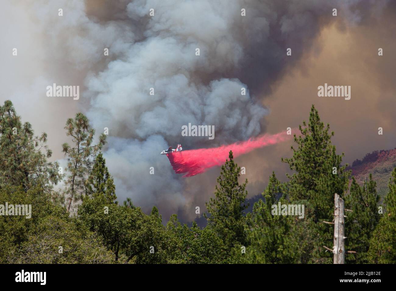 Mariposa County, Kalifornien, 24. Juli 2022. Ein CalFire-Löschlufttanker fällt während der Arbeiten zur Verlangsamung des Eichenfeuers in Mariposa County, Kalifornien, am 24. Juli 2022 schwer. Stockfoto