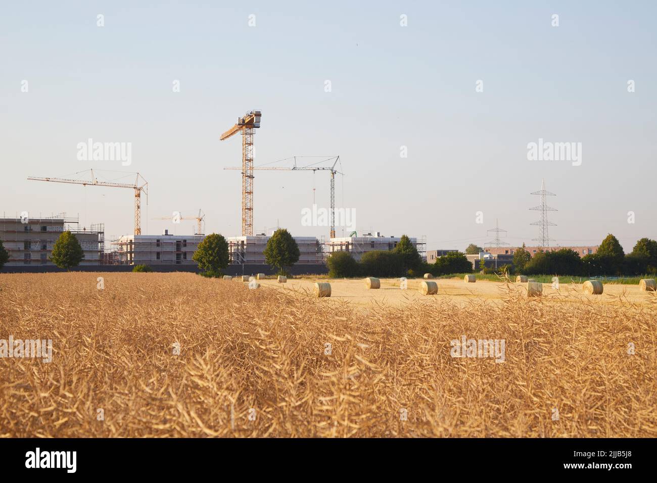 Hay bundes auf einem geernteten Weizenfeld im Vordergrund Bauarbeiten für Familienhäuser im Hintergrund. Symbol für neue Häuser in der Nähe countrysi Stockfoto