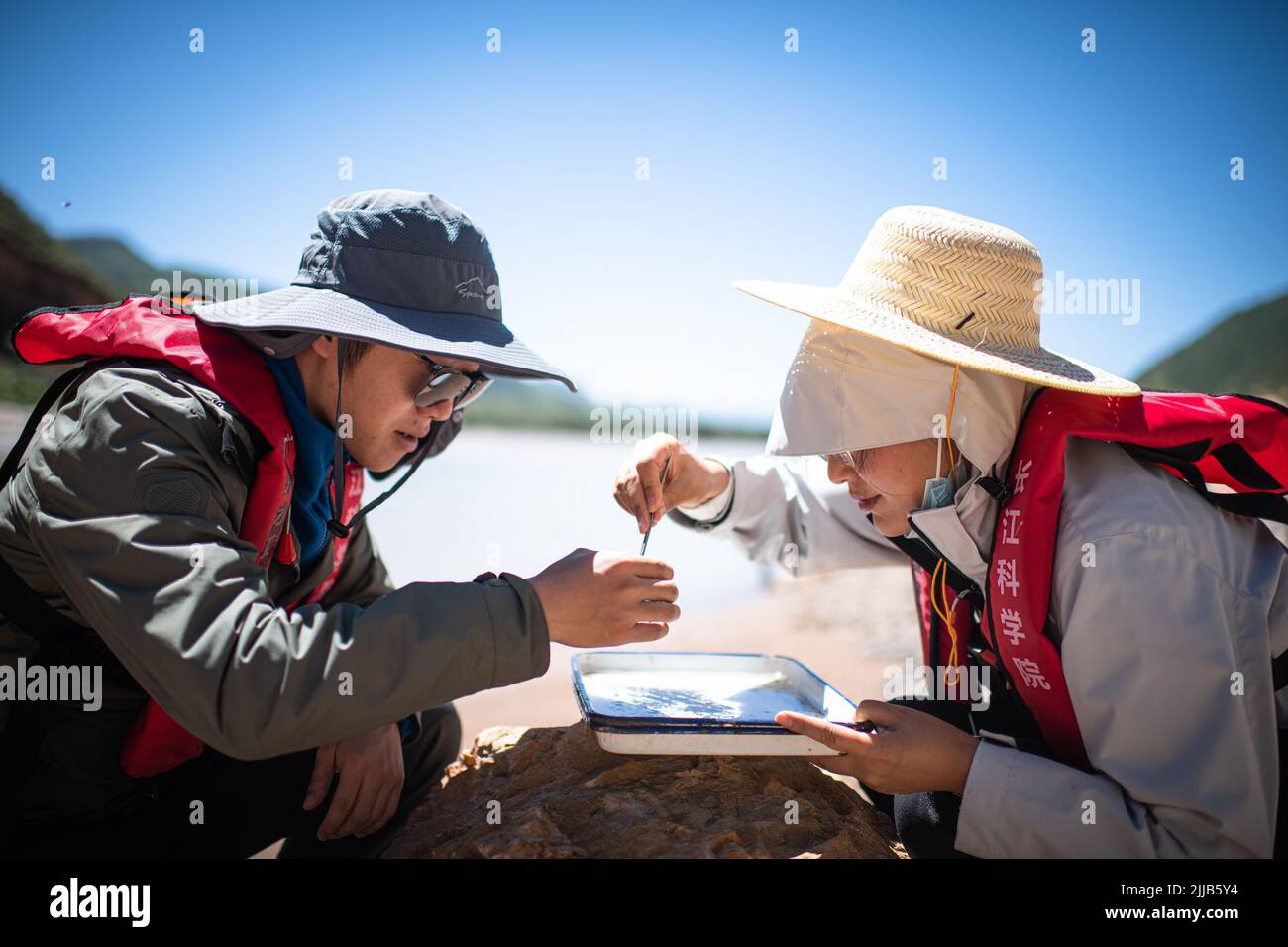 (220725) -- YUSHU, 25. Juli 2022 (Xinhua) -- Li Ludan (R) und Liu Han, Mitglieder eines wissenschaftlichen Expeditionsteams, führen benthonische Tierproben vom Fluss Zaqu in der Quellregion des Flusses Lancang in der nordwestlichen chinesischen Provinz Qinghai durch, 24. Juli 2022. Chinesische Wissenschaftler starteten am Sonntag eine Expedition in den Quellgebieten der Flüsse Yangtze und Lancang in der nordwestlichen chinesischen Provinz Qinghai, um die Wasserressourcen und die ökologische Umwelt der Region zu untersuchen. Die Expedition wird wissenschaftliche Untersuchungen zu Wasserressourcen, Flusshydrologie, Wasserökologie, Glac durchführen Stockfoto