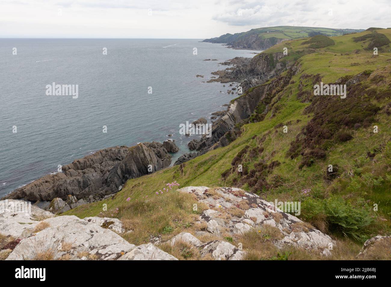 South West Coast Path und Tarka Trail zwischen Ilfracombe und Woolacombe Stockfoto