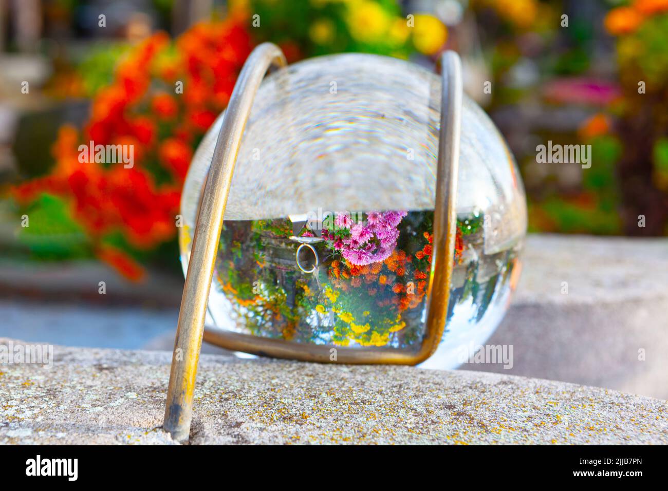 Blumen spiegeln sich in der Kristallkugel. Glaskugel mit bunten Reflexionen Stockfoto