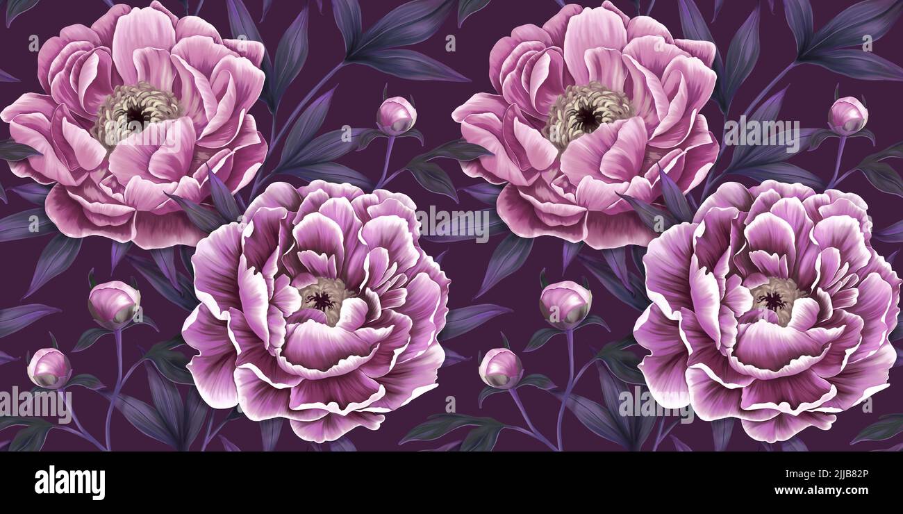 Wunderschöne violette Pfingstrosen, purpurne Knospen, staubige Fliederblätter. Nahtlos anmusterförmig. Lila Blumenhintergrund. Tapete in lila Farben. Handzeichnen Stockfoto
