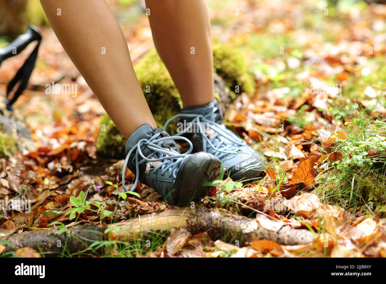 Nahaufnahme eines Wanderers, der in einem Wald mit einer Verstauchung am Knöchel stolpert Stockfoto