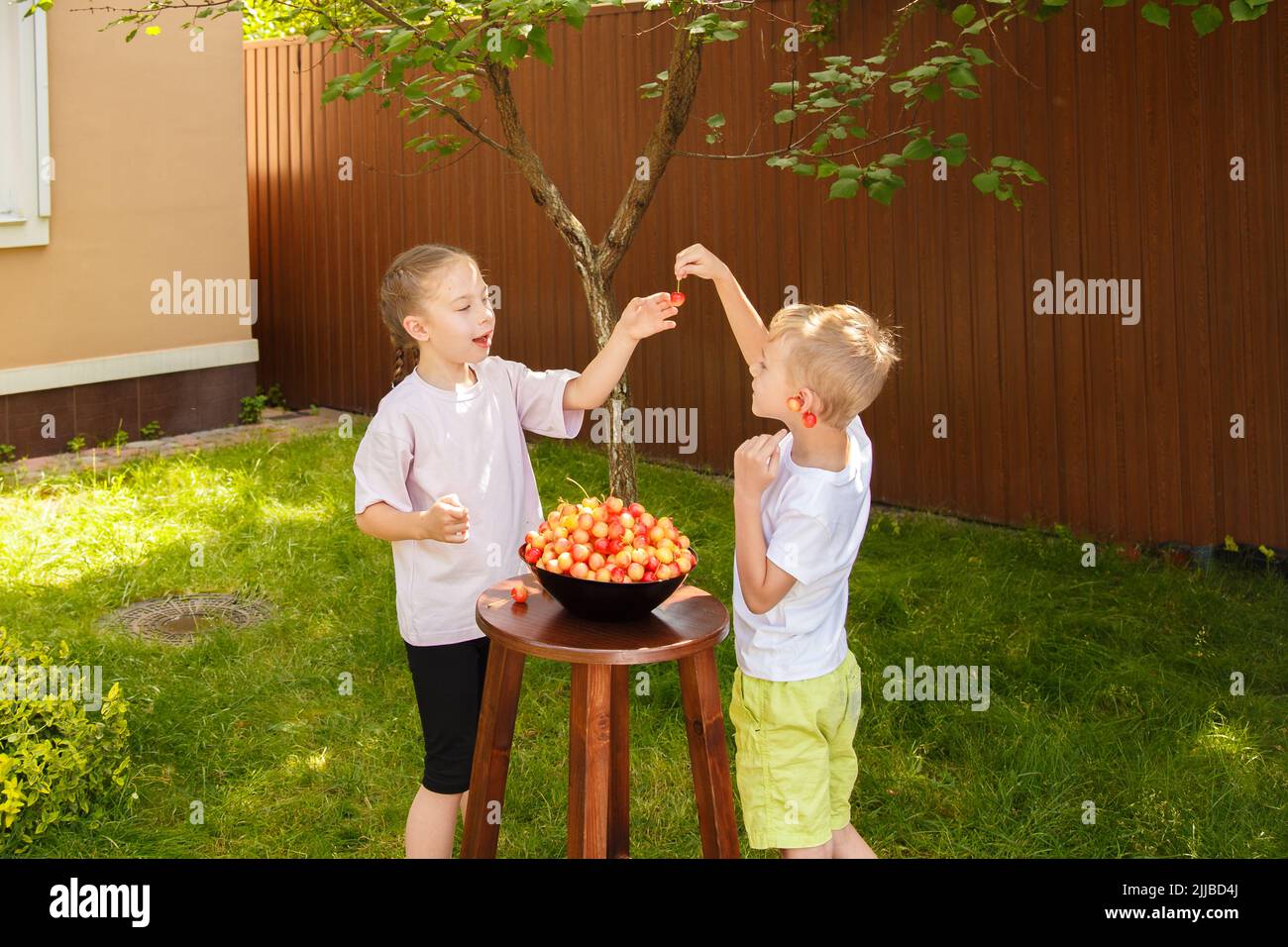 Ein Junge und ein Mädchen spielen mit Kirschen im Garten. Im Garten auf