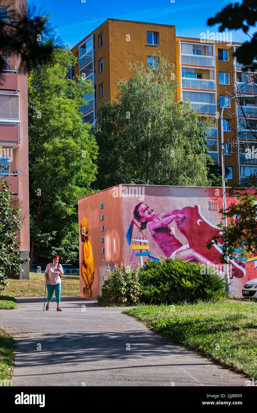 Brünn, Tschechische Republik. 25.. Juli 2022. Die Künstler Ales Vesely und Lukas Vesely malten am 25. Juli 2022 eine Wandmalerei auf einer Transformatorenstation im alten Liskovec-Viertel in Brünn, Tschechien. Quelle: Patrik Uhlir/CTK Photo/Alamy Live News Stockfoto