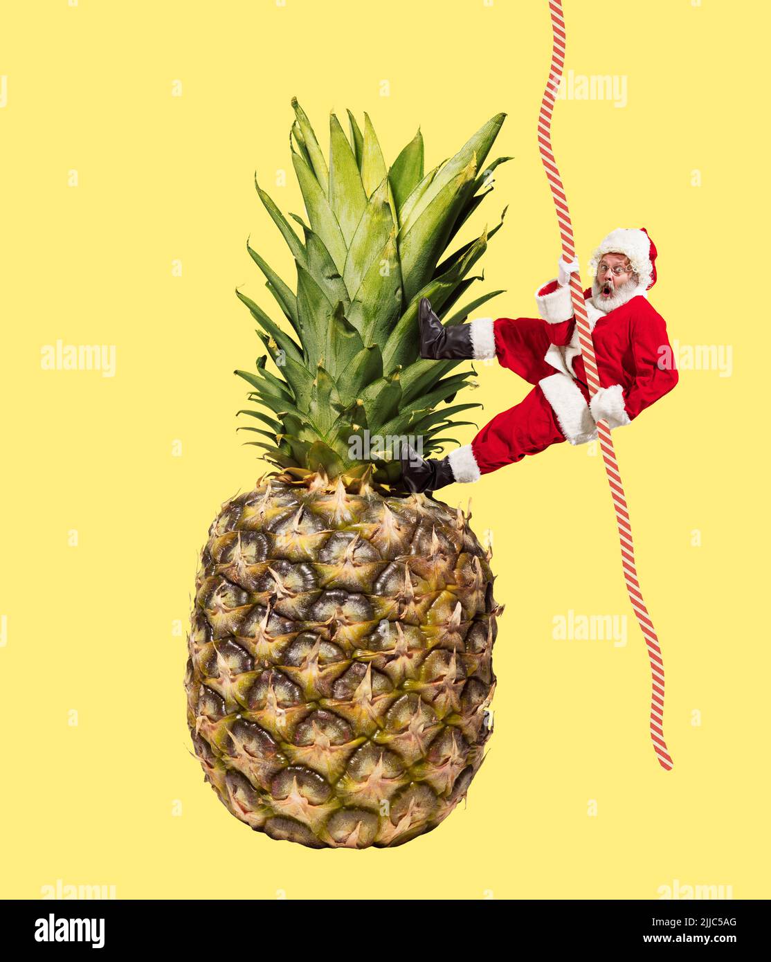 Collage zeitgenössischer Kunst. Kreatives Design mit fröhlichem älteren Mann im Bild des Weihnachtsmanns, der auf Ananas das Seil hochklettert Stockfoto