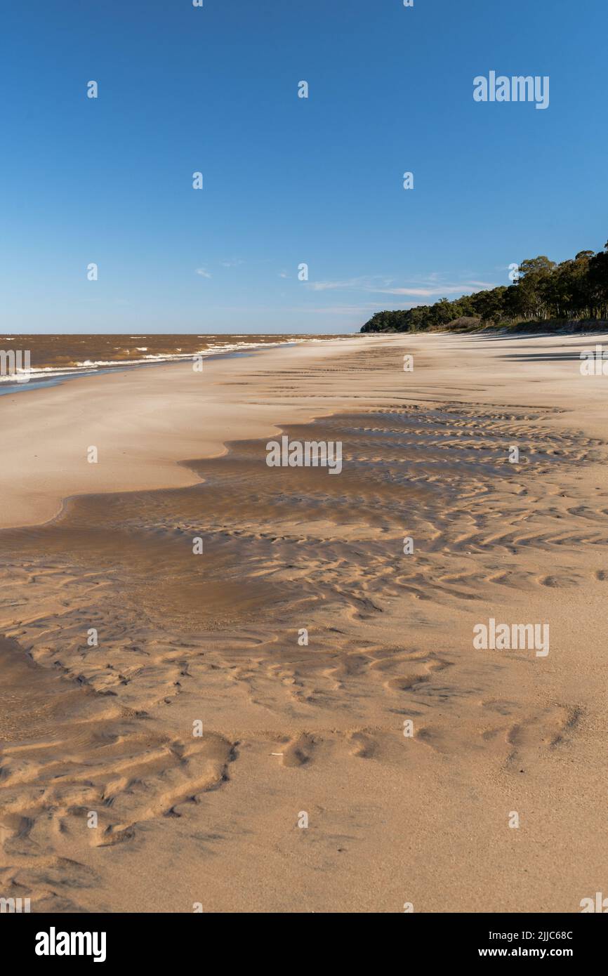 Muster, die durch das Wasser auf dem Sand des Kiyu-Strandes gebildet werden, mit den Bäumen an den Schluchten der Küste, in San Jose, Uruguay Stockfoto