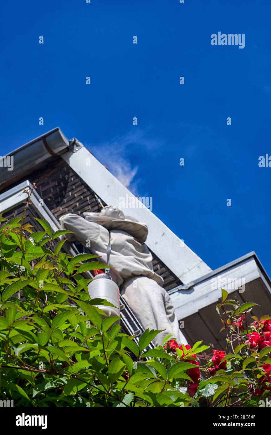 Der Schädlingsbekämpfer spritzt eine giftige Substanz in die Öffnung eines Wespennests auf dem Dach eines Hauses ein Stockfoto
