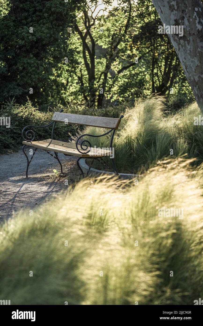 Bank und Sommerrasen Stockfoto