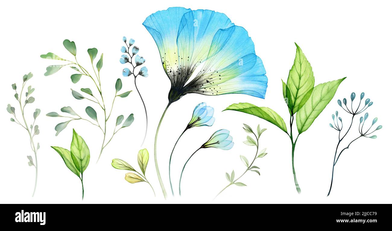 Set mit Aquarell und Blumenmuster. Sammlung von großen blauen Anemone, transparente Blumen, Beeren und Blätter. Handbemaltes, isoliertes abstraktes Design. Botanisch Stockfoto
